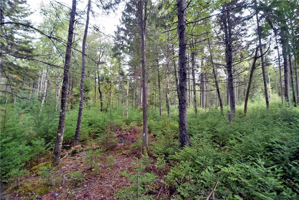 Tbd Tbd Indian Point Road Mount Desert, ME 04660 - Photo 16 of 16 Photo