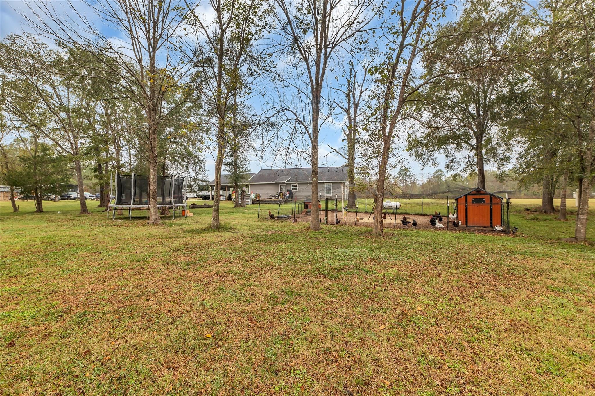 696 Independence Road Shepherd, TX 77371 - Photo 22 of 27 a view of a park with large trees
