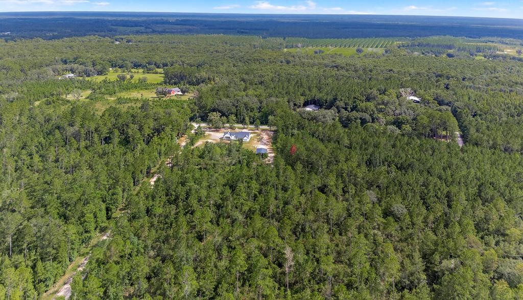 0 Haddock Road Hilliard, FL 32046 - Photo 14 of 16 Gallery Image 14