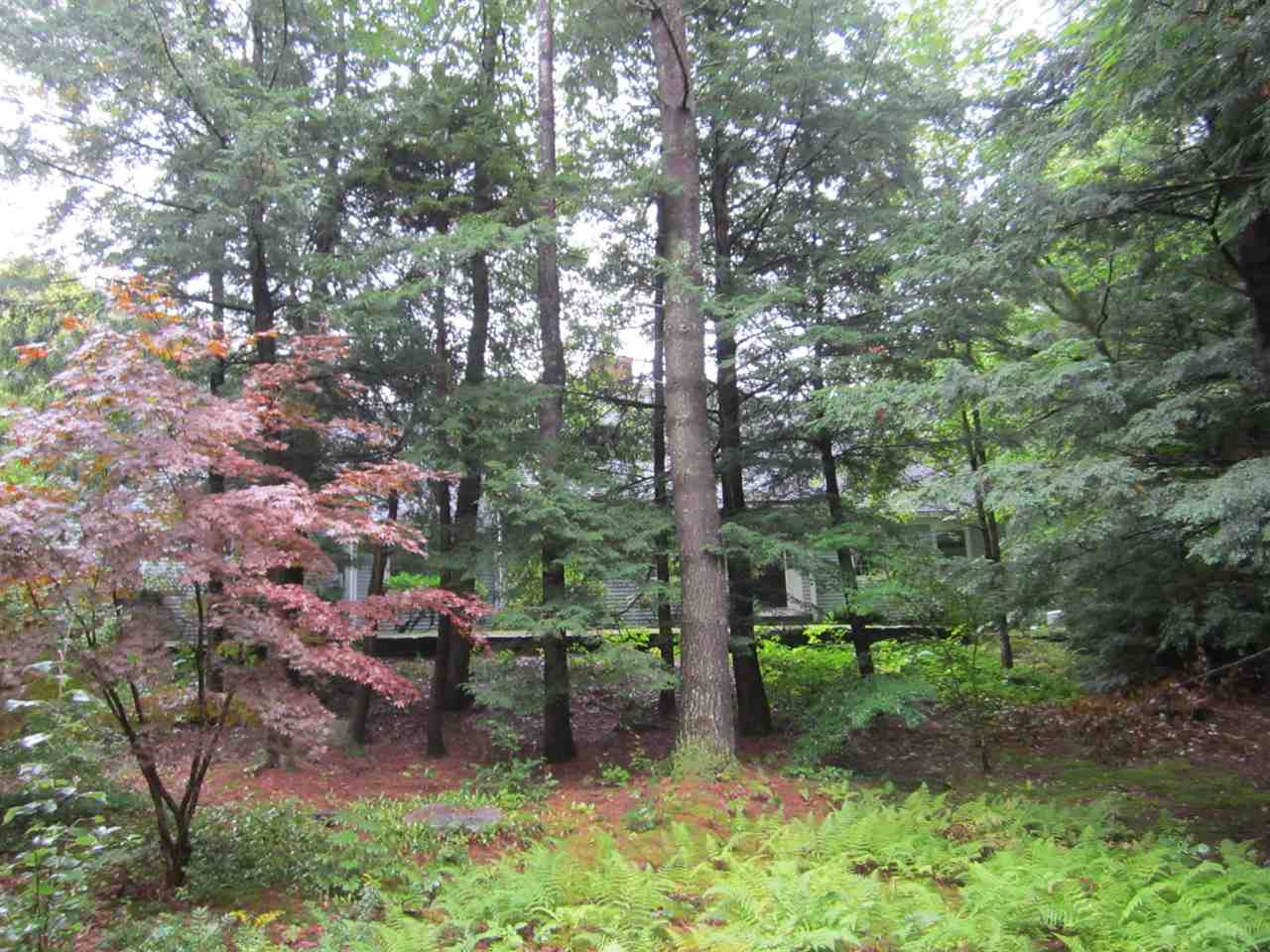 135 Meadow Brook Road New London, NH 03257 - Photo 29 of 30 Gallery Image 29