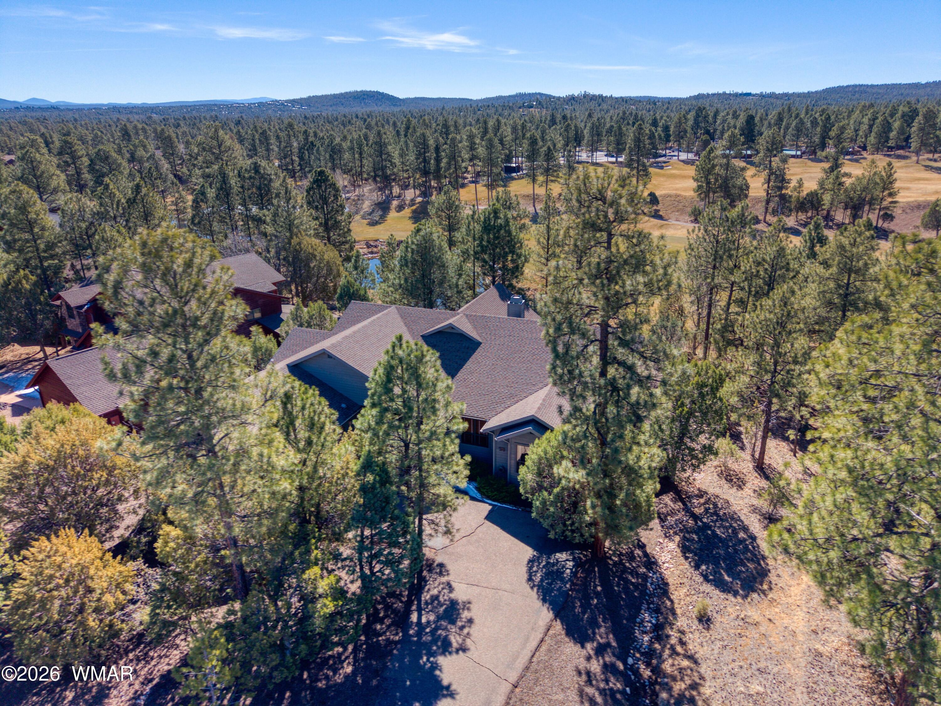 3990 Sugar Pine Loop Show Low, AZ 85901 - Photo 3 of 61 Aerial View