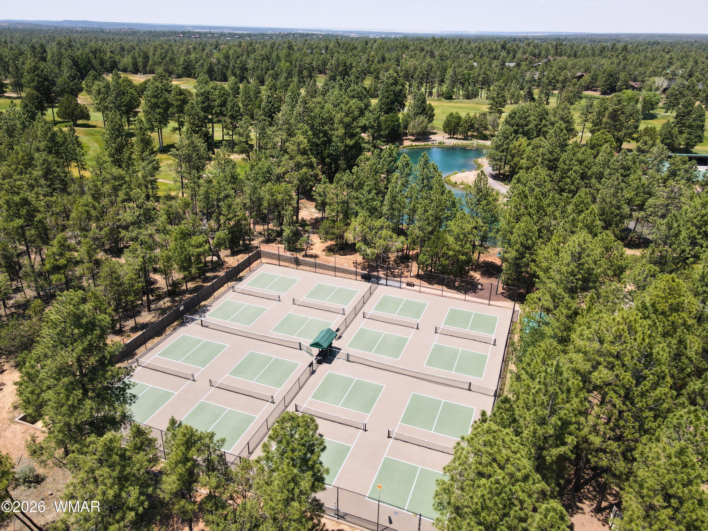 3990 Sugar Pine Loop Show Low, AZ 85901 - Photo 51 of 61 Court Aerial View