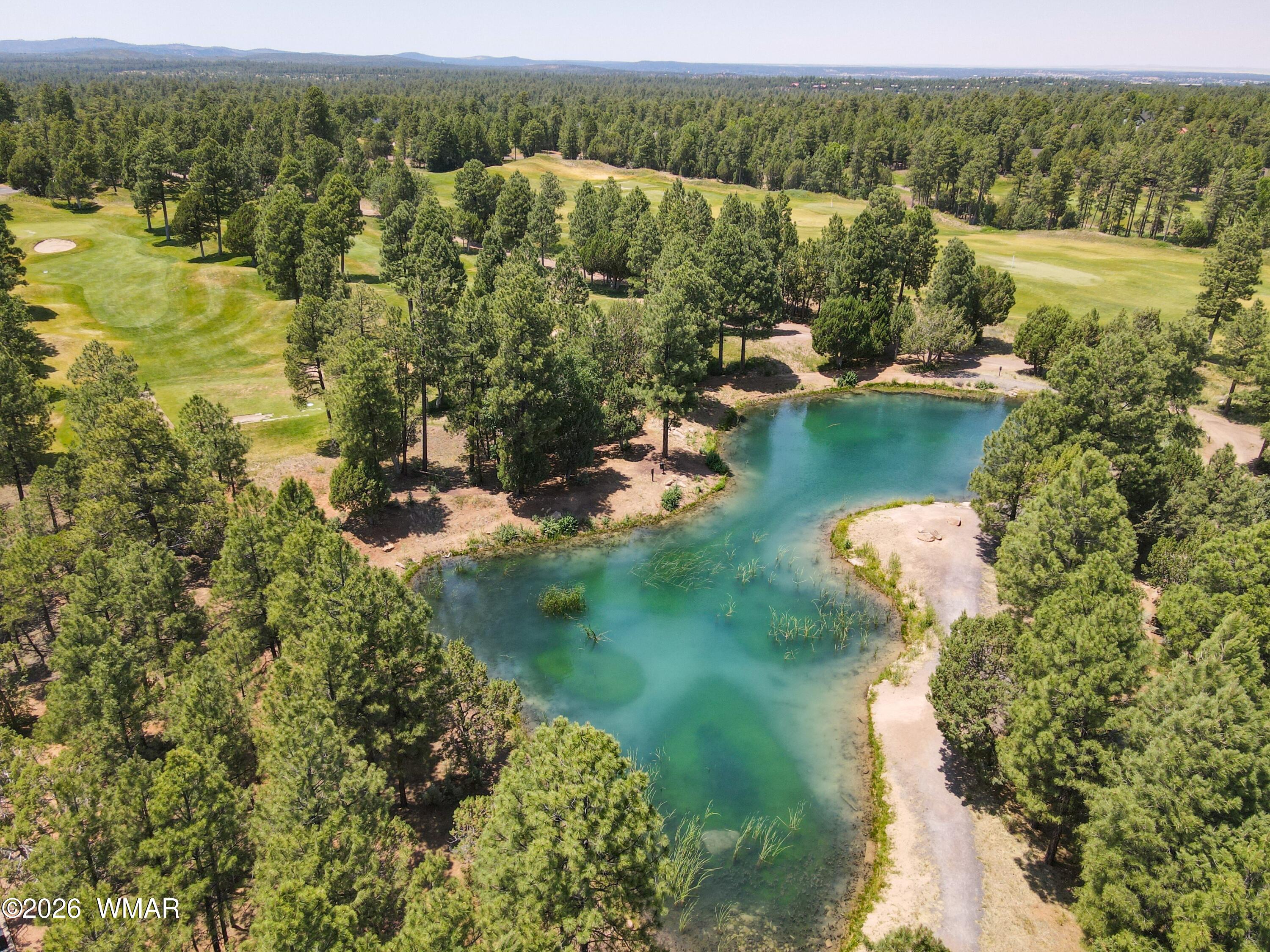 3990 Sugar Pine Loop Show Low, AZ 85901 - Photo 56 of 61 Catch Release Aerial View