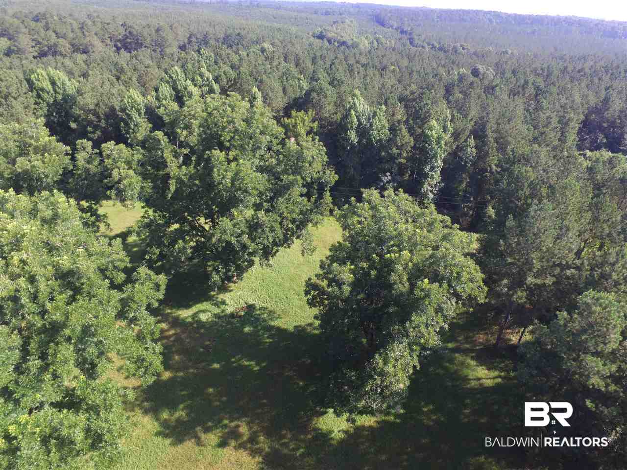 744 Fox Trot Road Grove Hill, AL 36451 - Photo 40 of 46