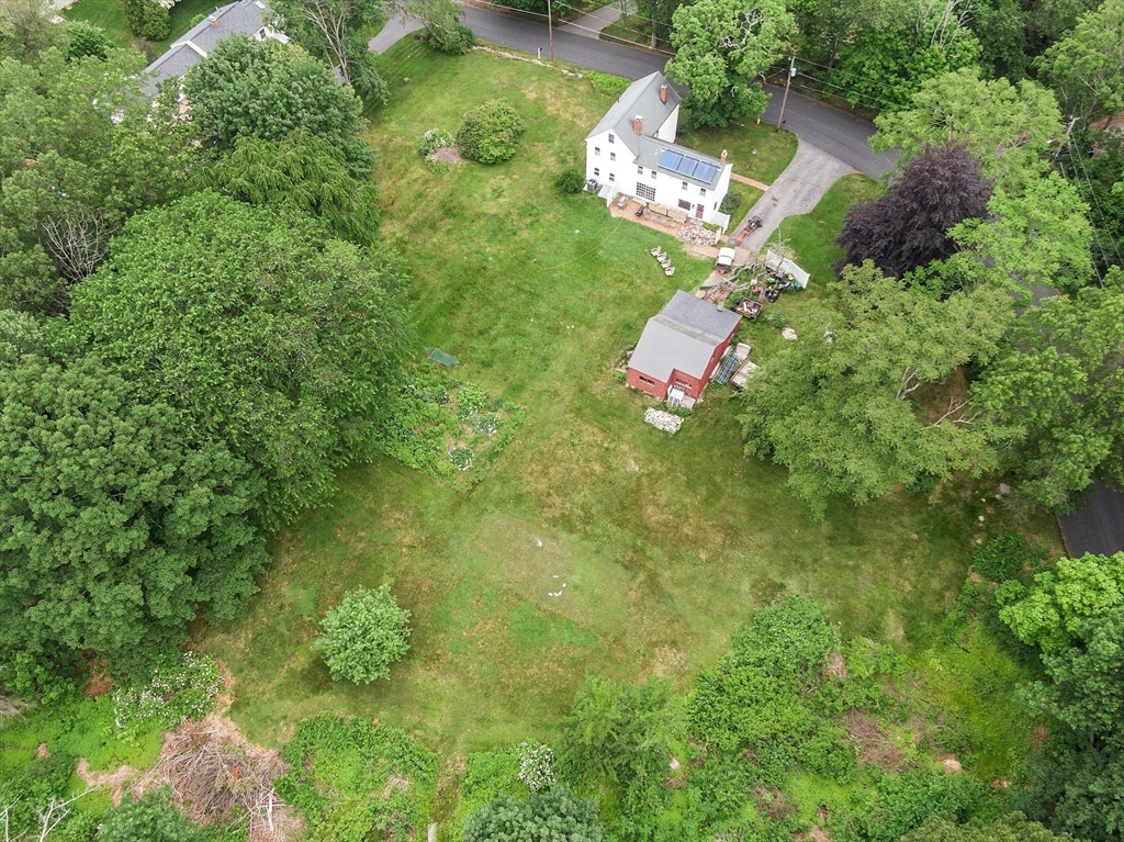21 Rocky Hill Road Andover, MA 01810 - Photo 33 of 35 a close up of a flower in a garden