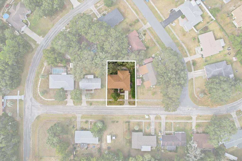 9196 North Fawn Way Citrus Springs, FL 34434 - Photo 44 of 48