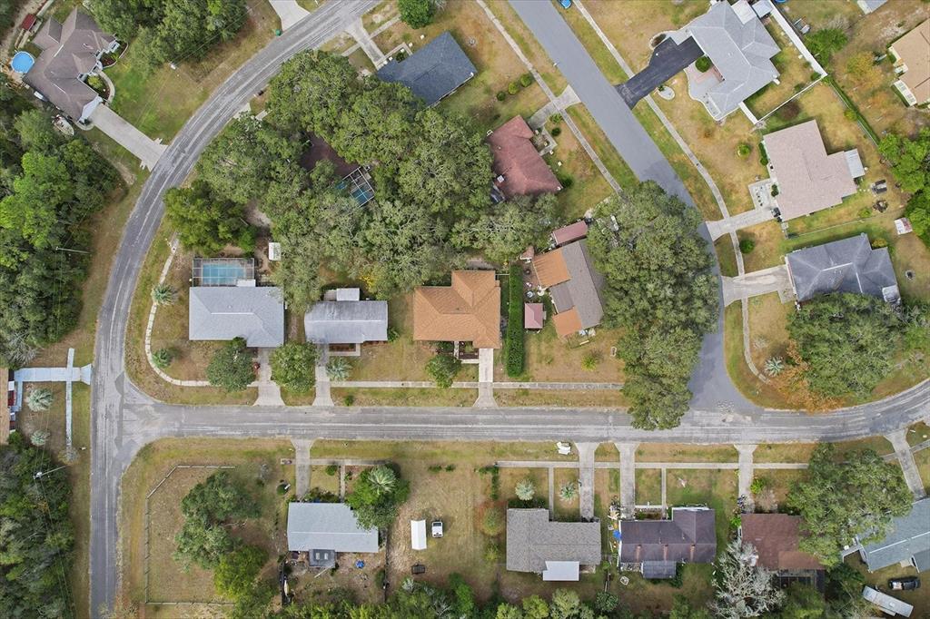 9196 North Fawn Way Citrus Springs, FL 34434 - Photo 45 of 48