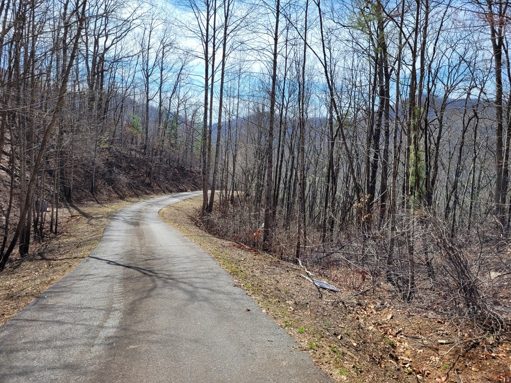 14 Flaming Ridge Hayesville, NC 28904 - Photo 14 of 17 a view of a pathway with a wrought fence