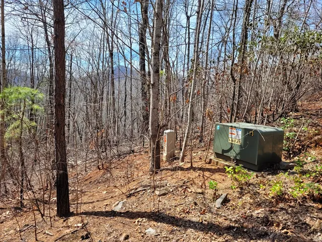 a view of outdoor space with garden view