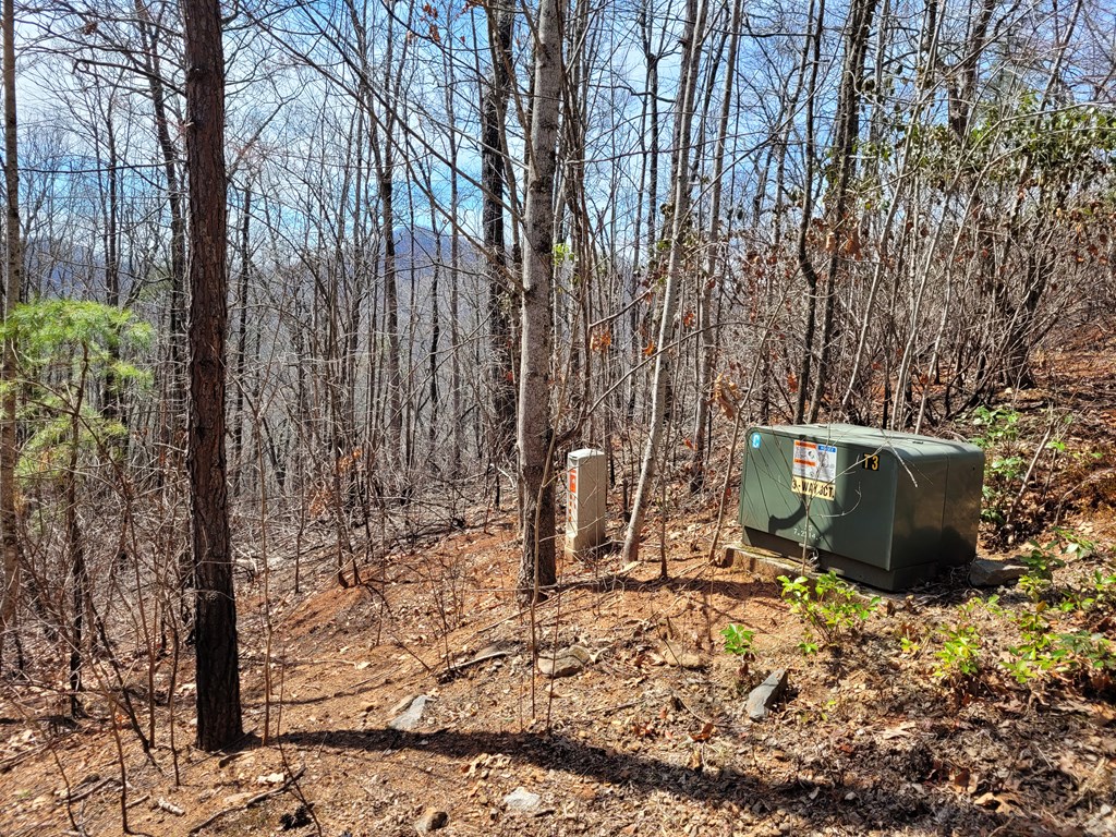 14 Flaming Ridge Hayesville, NC 28904 - Photo 15 of 17 a view of outdoor space with garden view