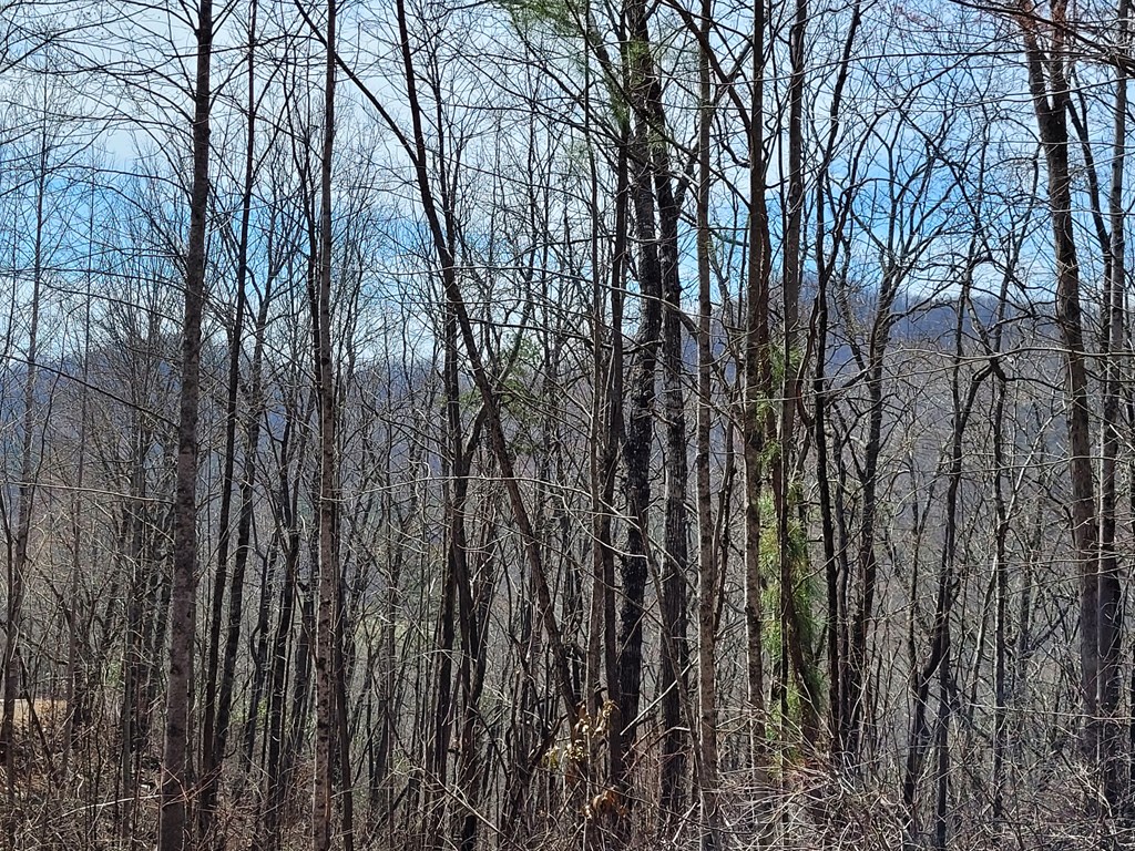 14 Flaming Ridge Hayesville, NC 28904 - Photo 16 of 17