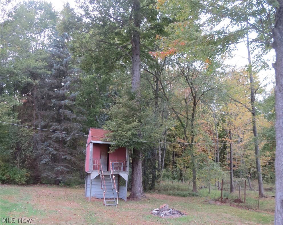 13990 Ellett Road Beloit, OH 44609 - Photo 13 of 16 Nice tree house for the kids.