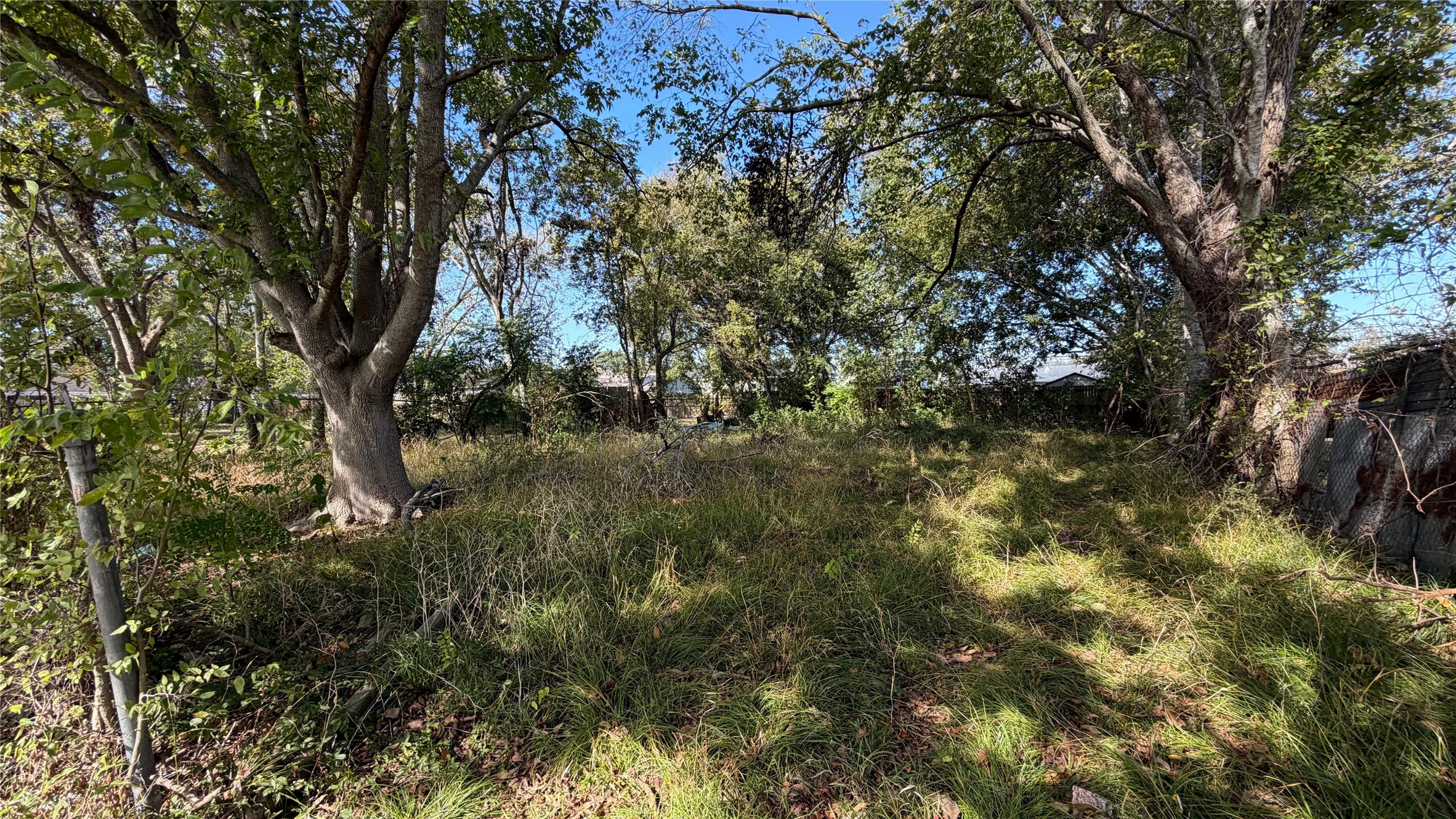 3517 Jipsie Lane Houston, TX 77051 - Photo 7 of 11 a view of a tree in a yard