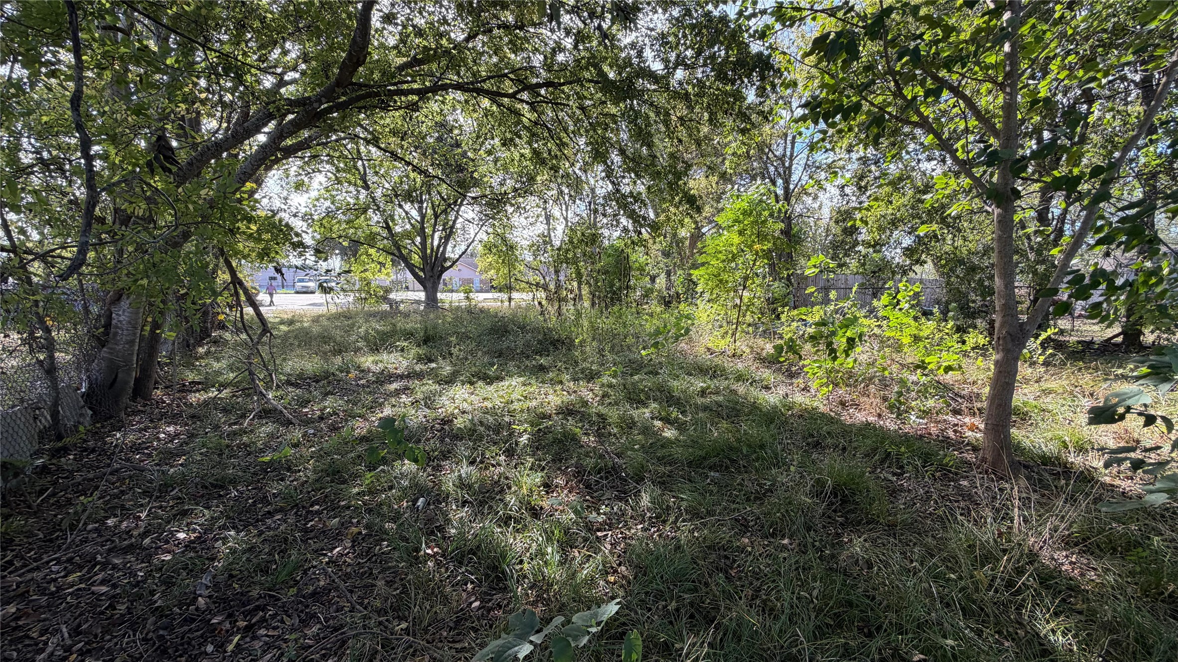 3517 Jipsie Lane Houston, TX 77051 - Photo 8 of 11 a view of a forest with trees in front of it