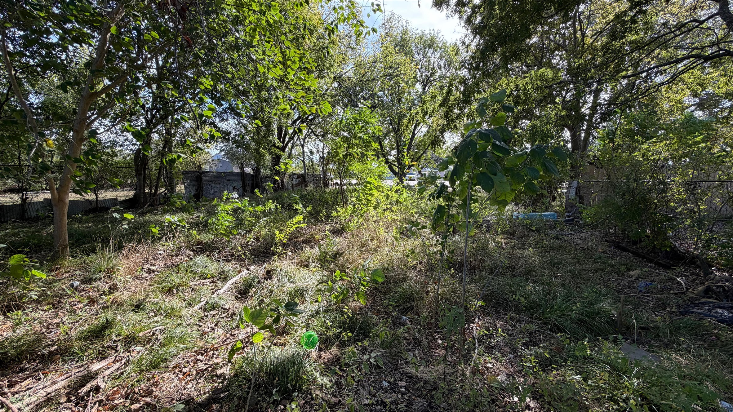 3517 Jipsie Lane Houston, TX 77051 - Photo 9 of 11 a view of a garden with a tree