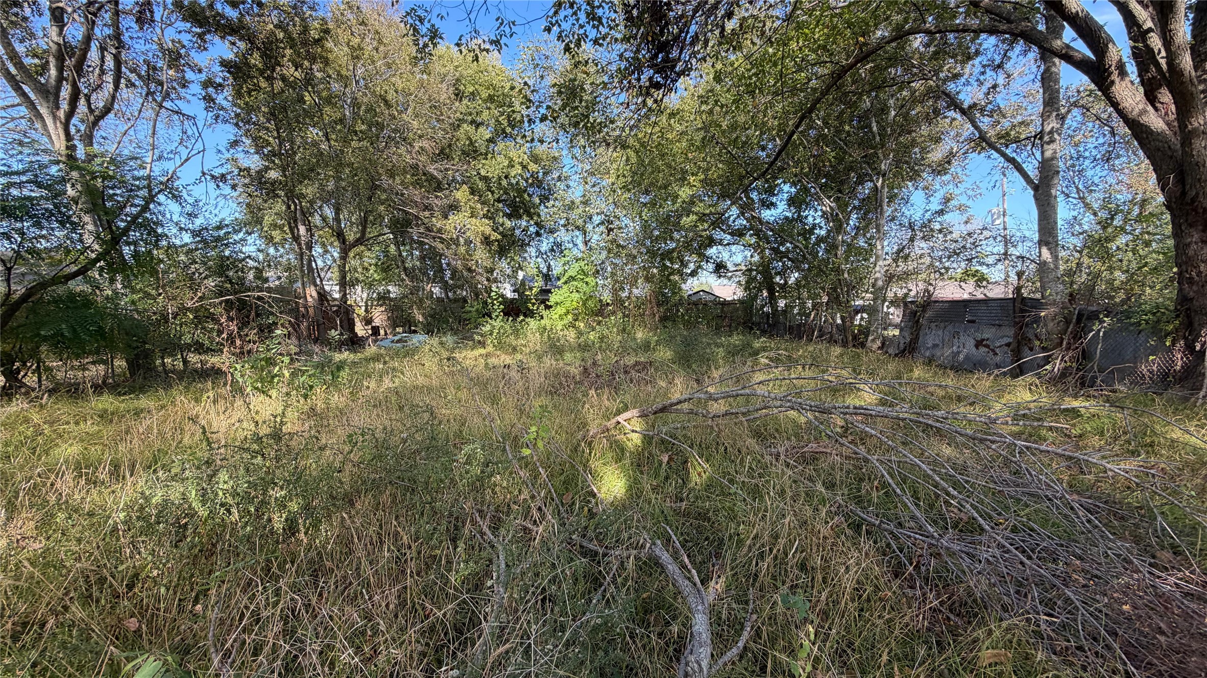 3517 Jipsie Lane Houston, TX 77051 - Photo 10 of 11 a view of a yard with trees