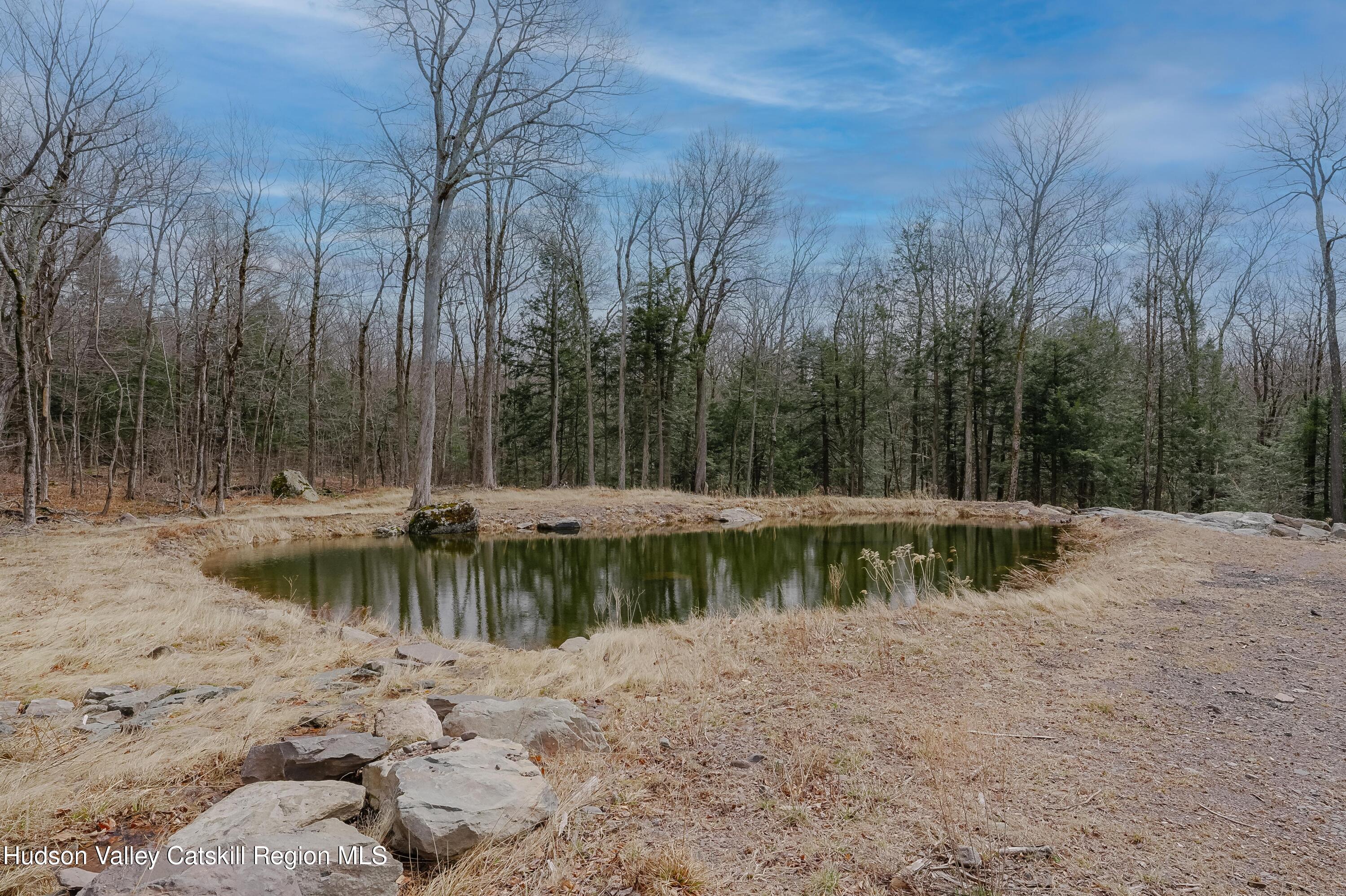 300 Josh Road North Elka Park, NY 12427 - Photo 4 of 50 DSC02294-HDR-Edit