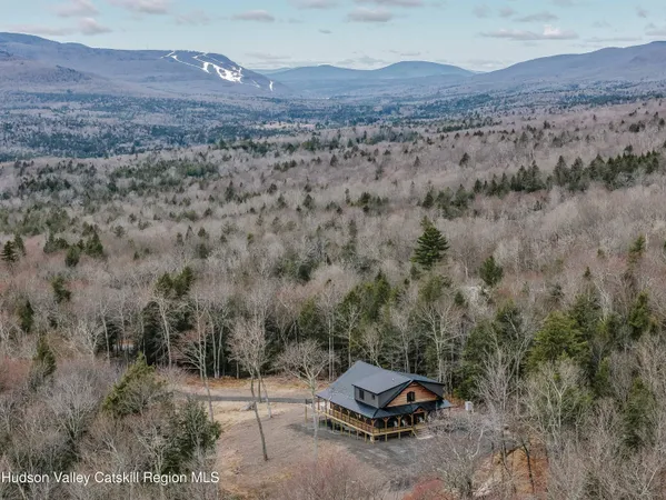 a view of a backyard with a mountain and trees