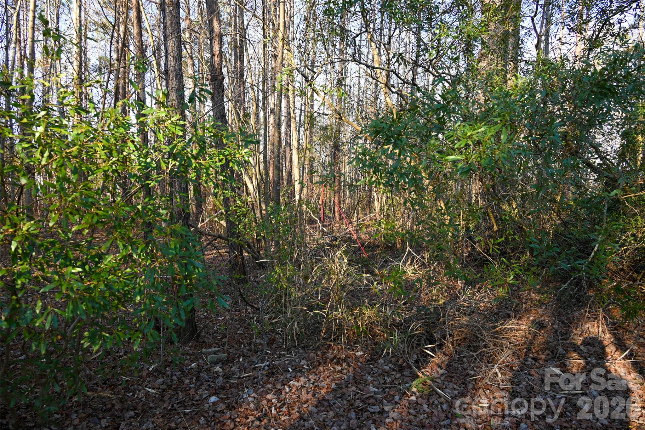 276 Riverside Road Grifton, NC 28530 - Photo 13 of 19