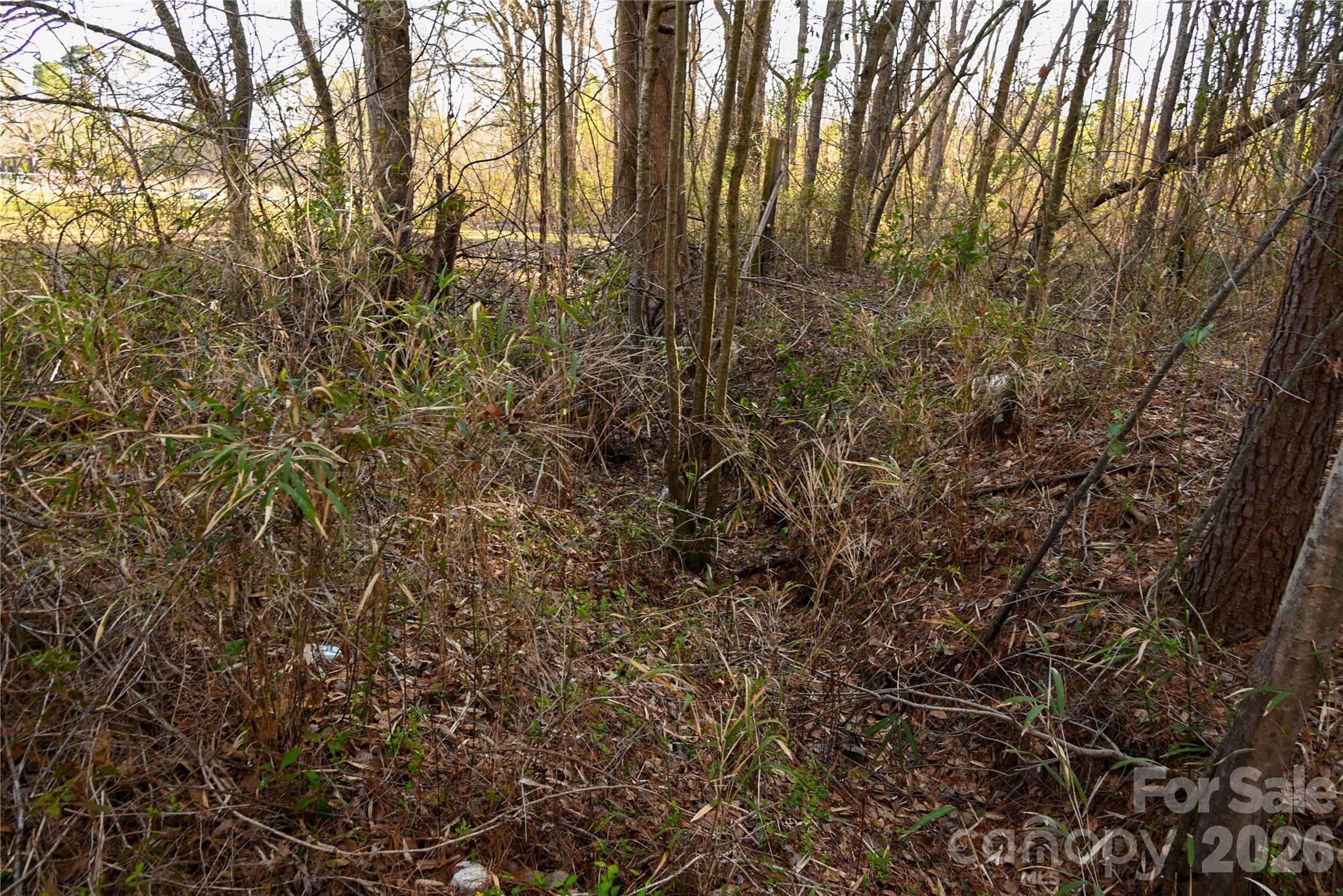 276 Riverside Road Grifton, NC 28530 - Photo 15 of 19