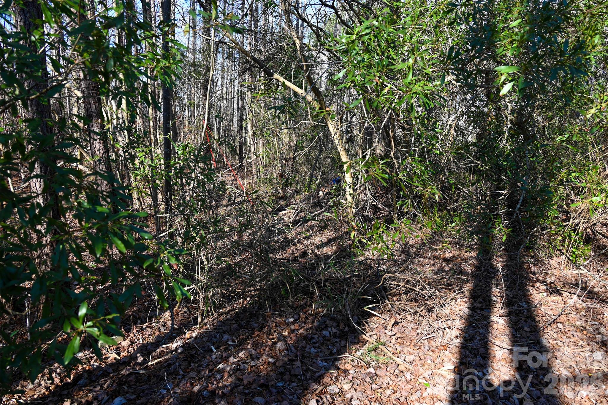 276 Riverside Road Grifton, NC 28530 - Photo 16 of 19