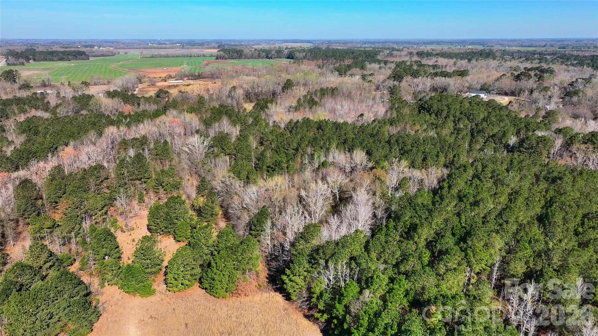276 Riverside Road Grifton, NC 28530 - Photo 4 of 19