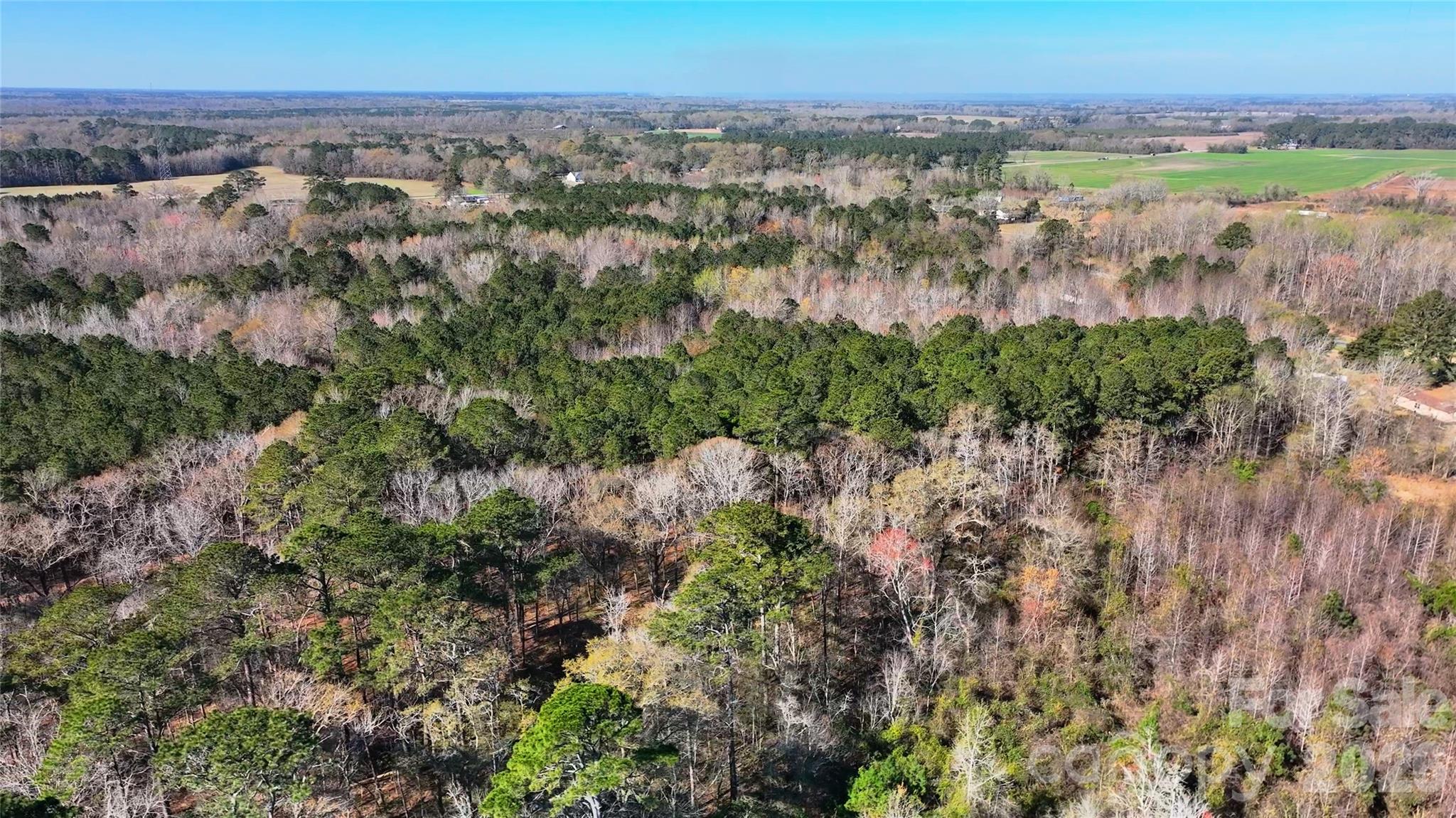 276 Riverside Road Grifton, NC 28530 - Photo 5 of 19