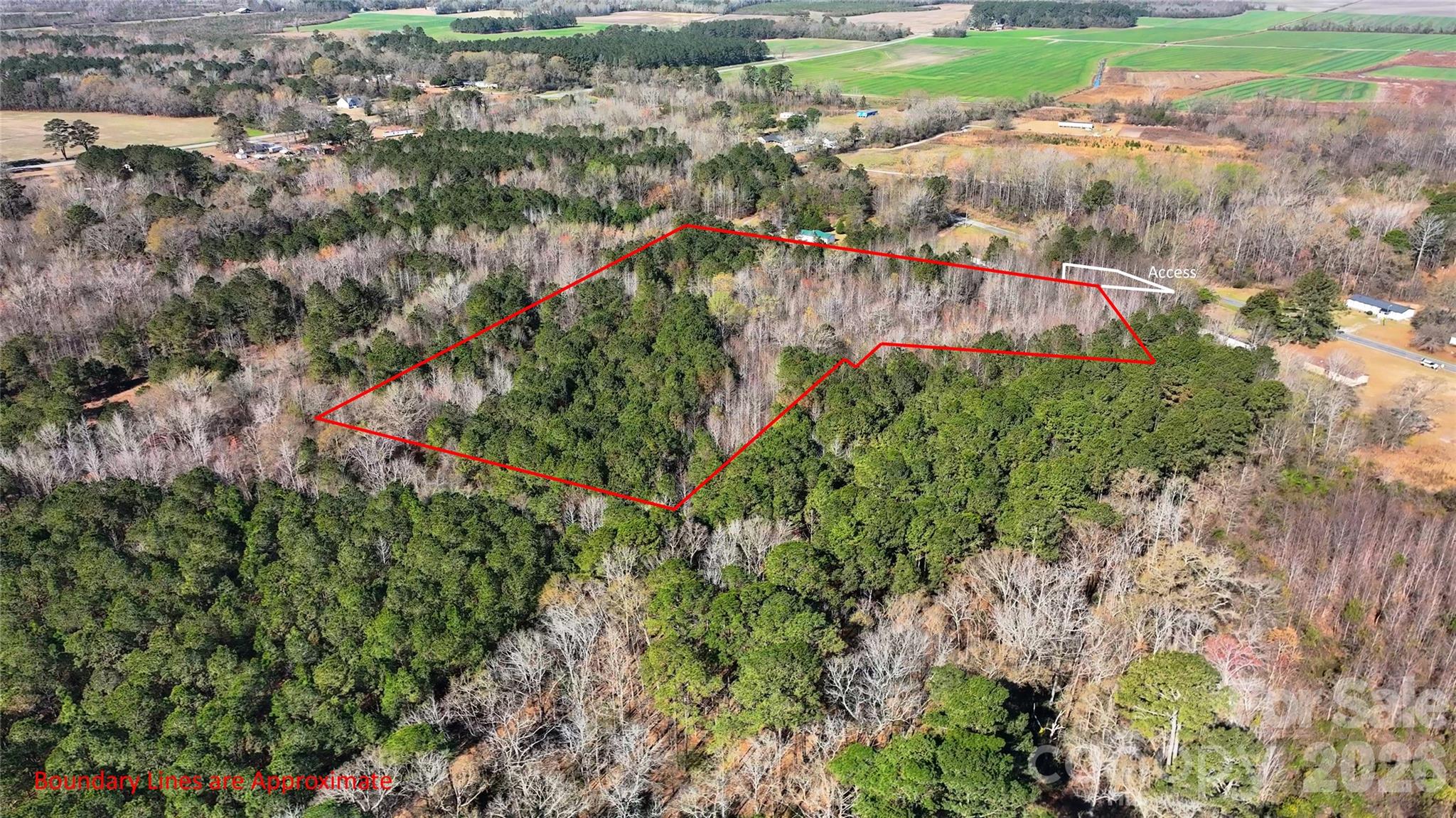 276 Riverside Road Grifton, NC 28530 - Photo 7 of 19