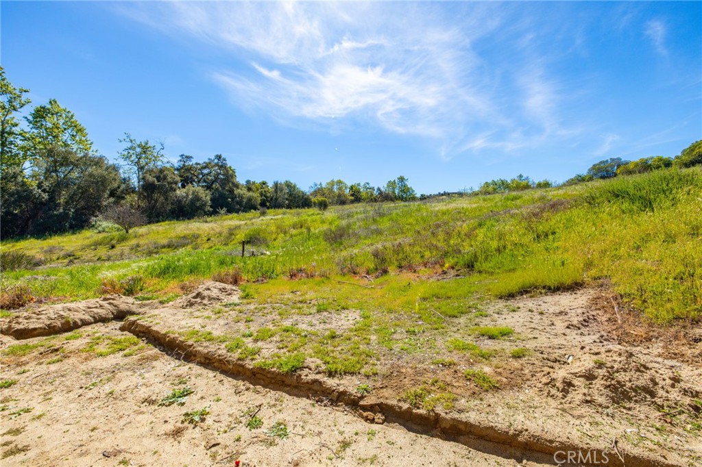 1720 Vista Del Lago Fallbrook, CA 92028 - Photo 48 of 54