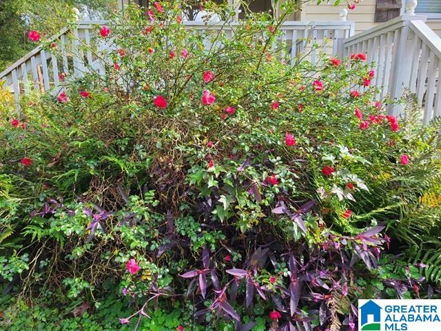 436 Cullman Road Gardendale, AL 35071 - Photo 19 of 27