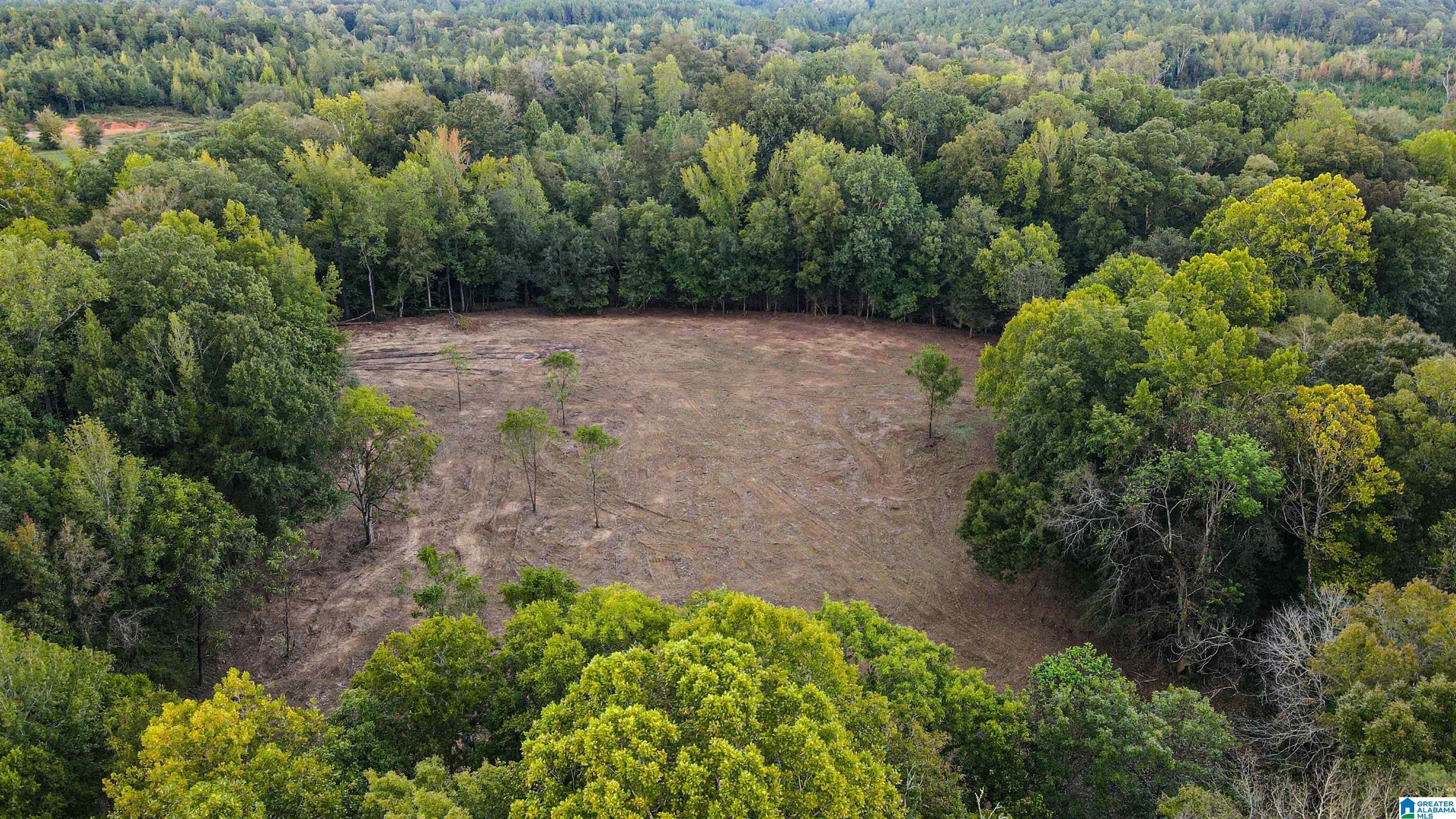 1 Sawyers Cove Road Calera, AL 35040 - Photo 12 of 62 Gallery Image 12