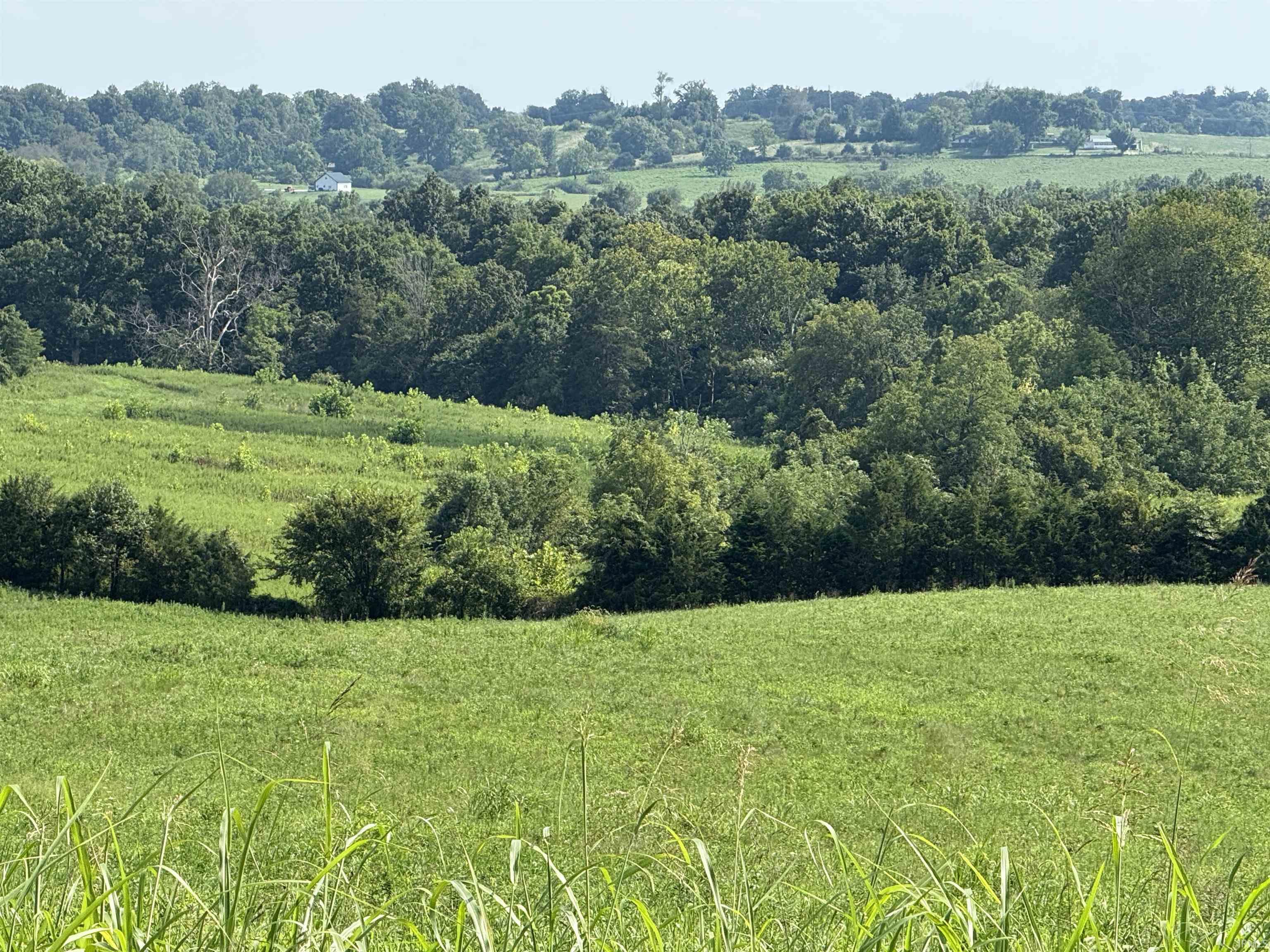 1540 Younger Road Bedford, IN 47421 - Photo 4 of 7