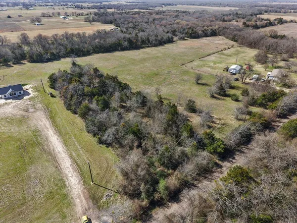 a view of a dry yard with lots of trees