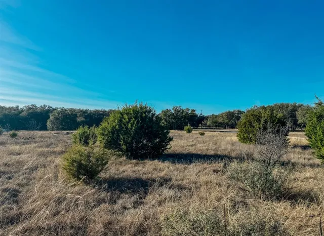a view of a dry yard with wooden fence