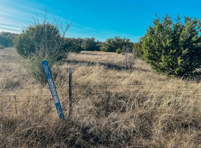 a view of a dry yard with lots of green space