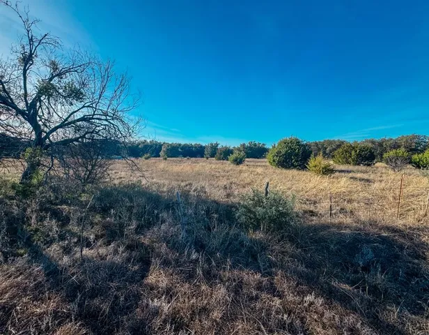 a view of a yard with a tree