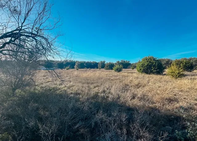 a view of mountain view with large trees