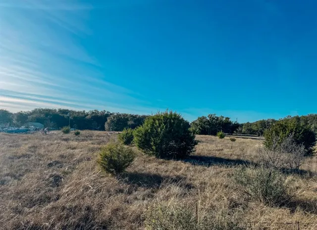 a view of a dry yard with wooden fence