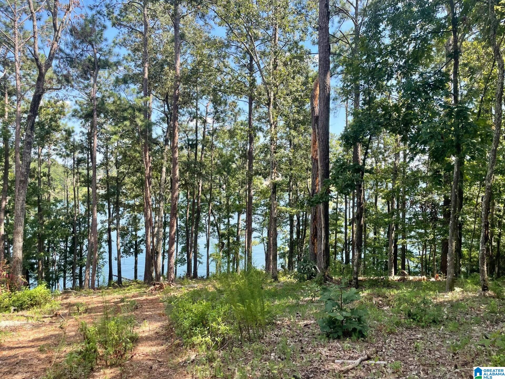 897 County Road, Unit 7 Wedowee, AL 36278 - Photo 5 of 8