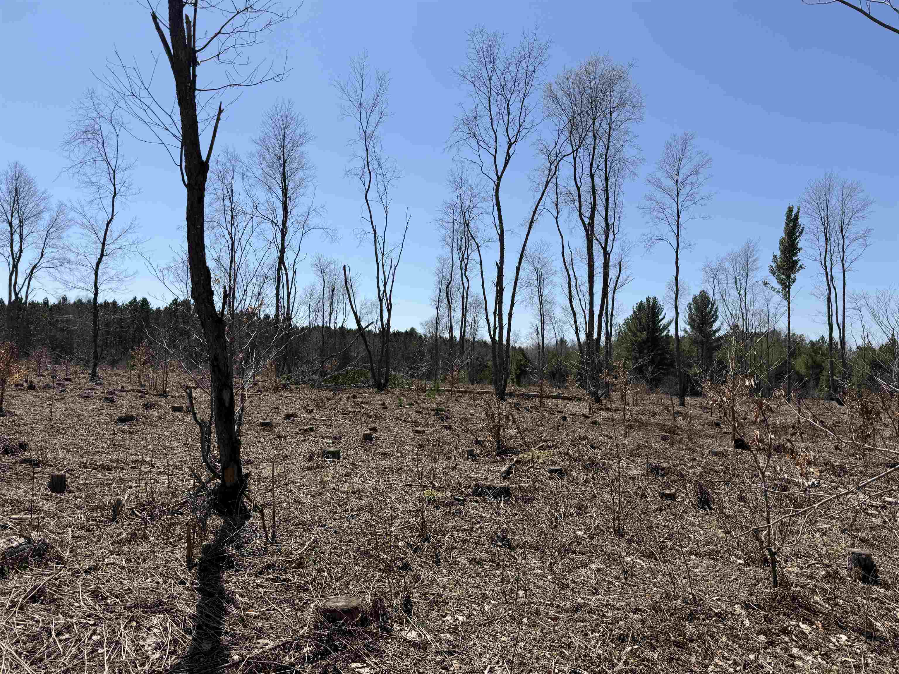 0 Landis Road Thompsonville, MI 49683 - Photo 10 of 26