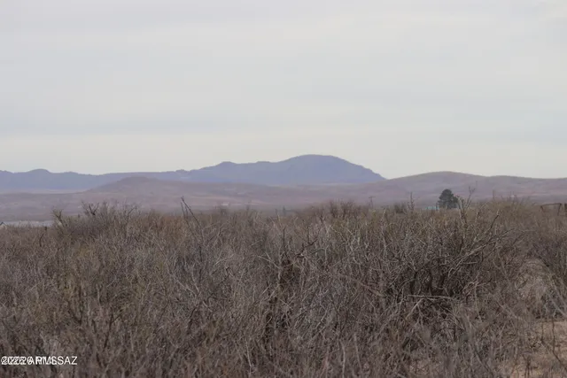 $99,500 | Tbd West Packing Plant Road, Unit 24, Willcox, AZ 85643