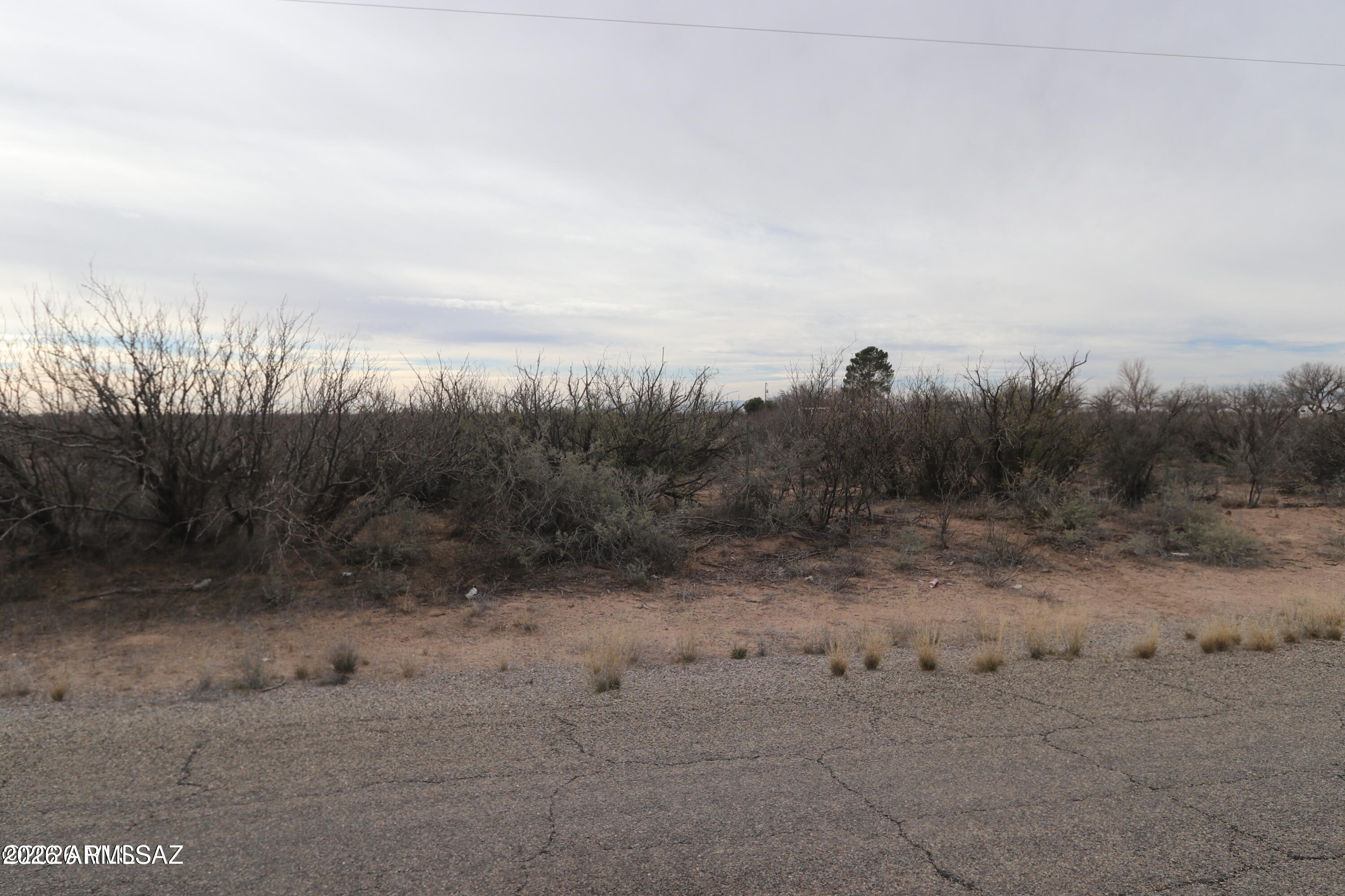 Tbd West Packing Plant Road, Unit 24 Willcox, AZ 85643 - Photo 5 of 5 a view of a dry yard with trees in the background