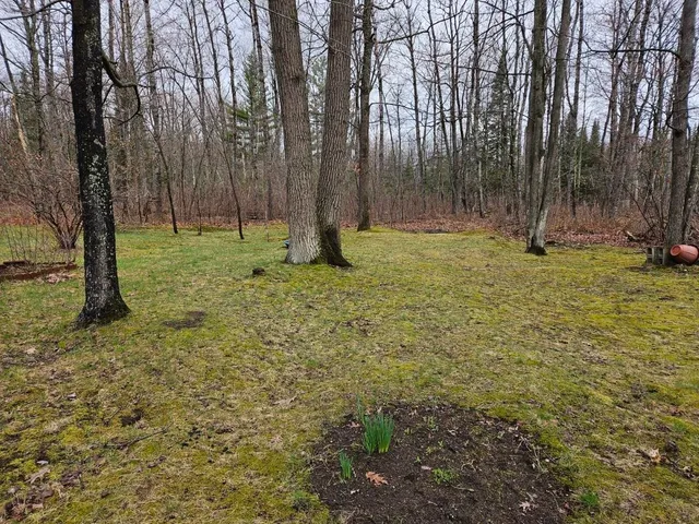 $219,900 | 7102 Fire Tower Road, Rhinelander, WI 54501