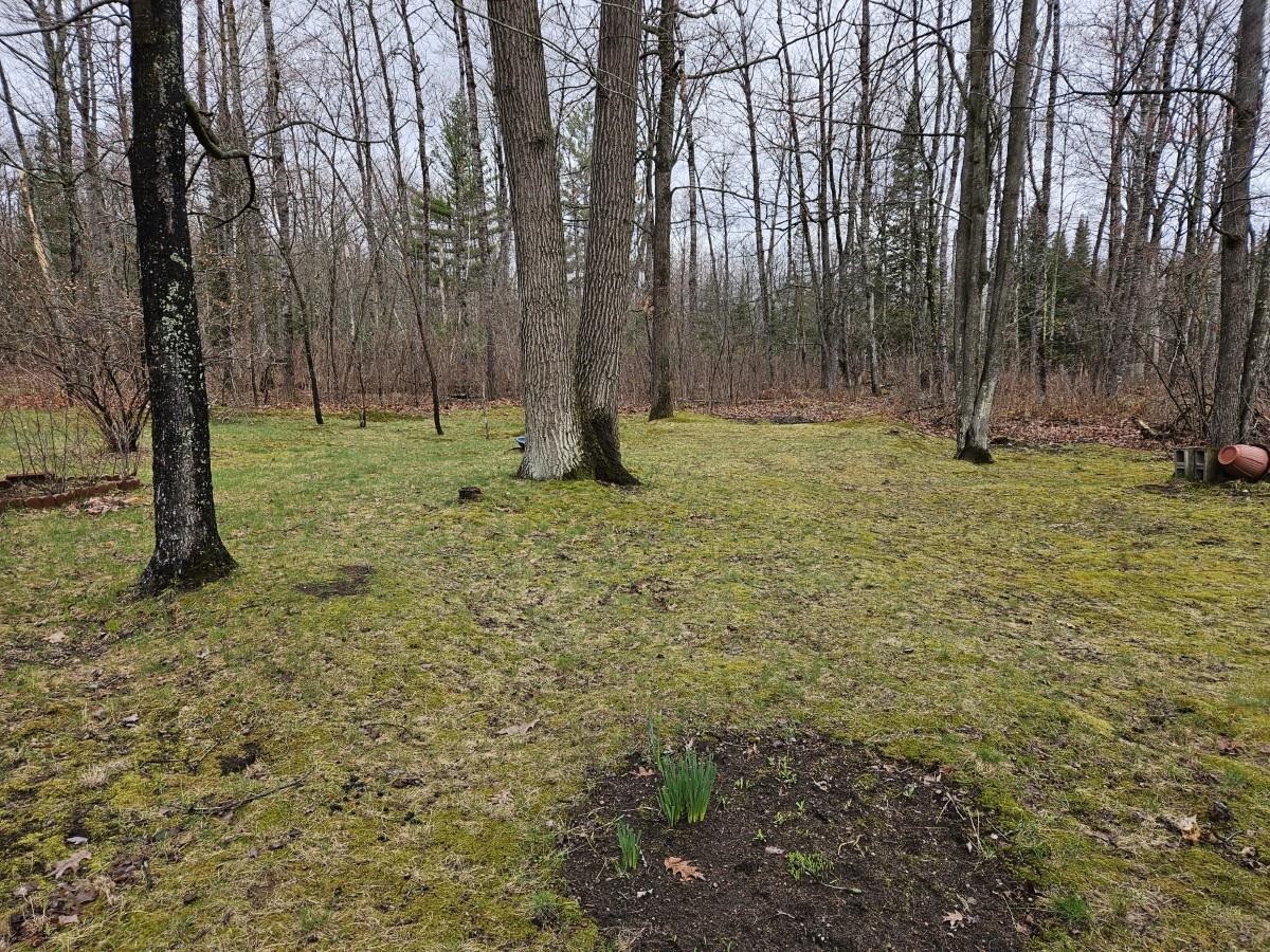 7102 Fire Tower Road Rhinelander, WI 54501 - Photo 3 of 48