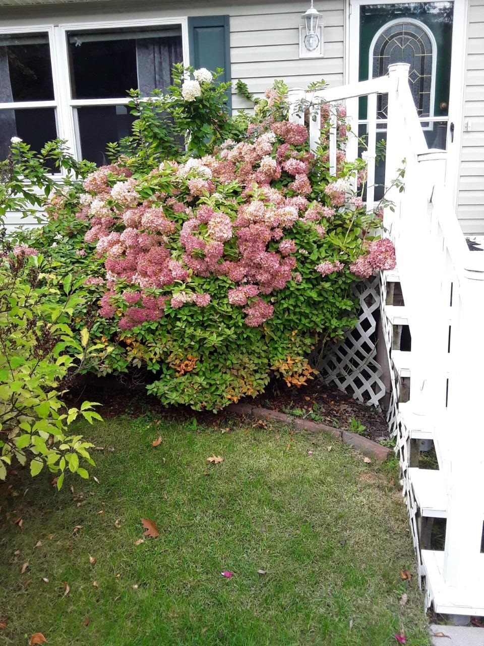 7102 Fire Tower Road Rhinelander, WI 54501 - Photo 40 of 48