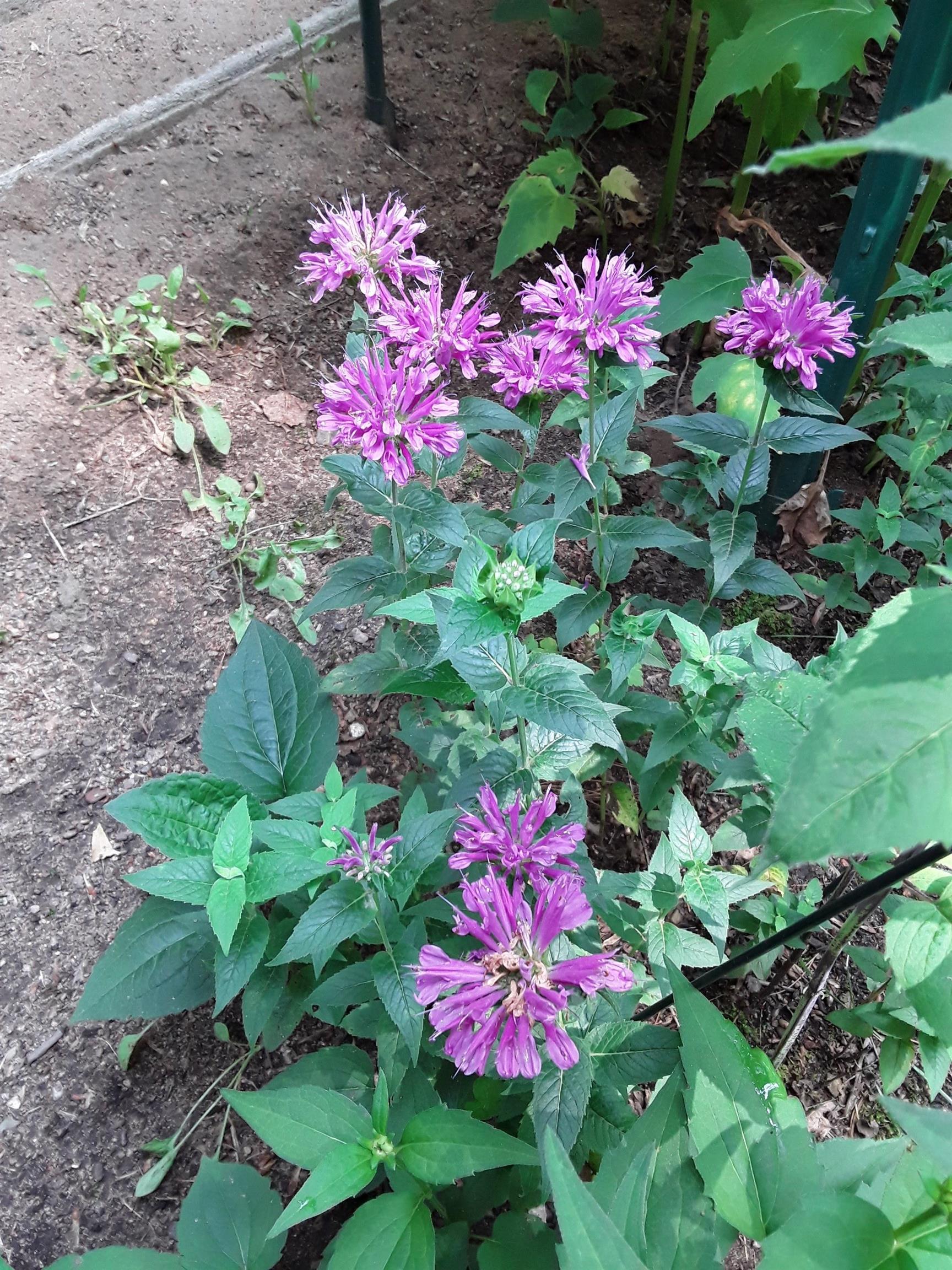 7102 Fire Tower Road Rhinelander, WI 54501 - Photo 42 of 48