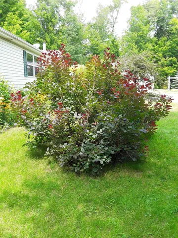 $219,900 | 7102 Fire Tower Road, Rhinelander, WI 54501