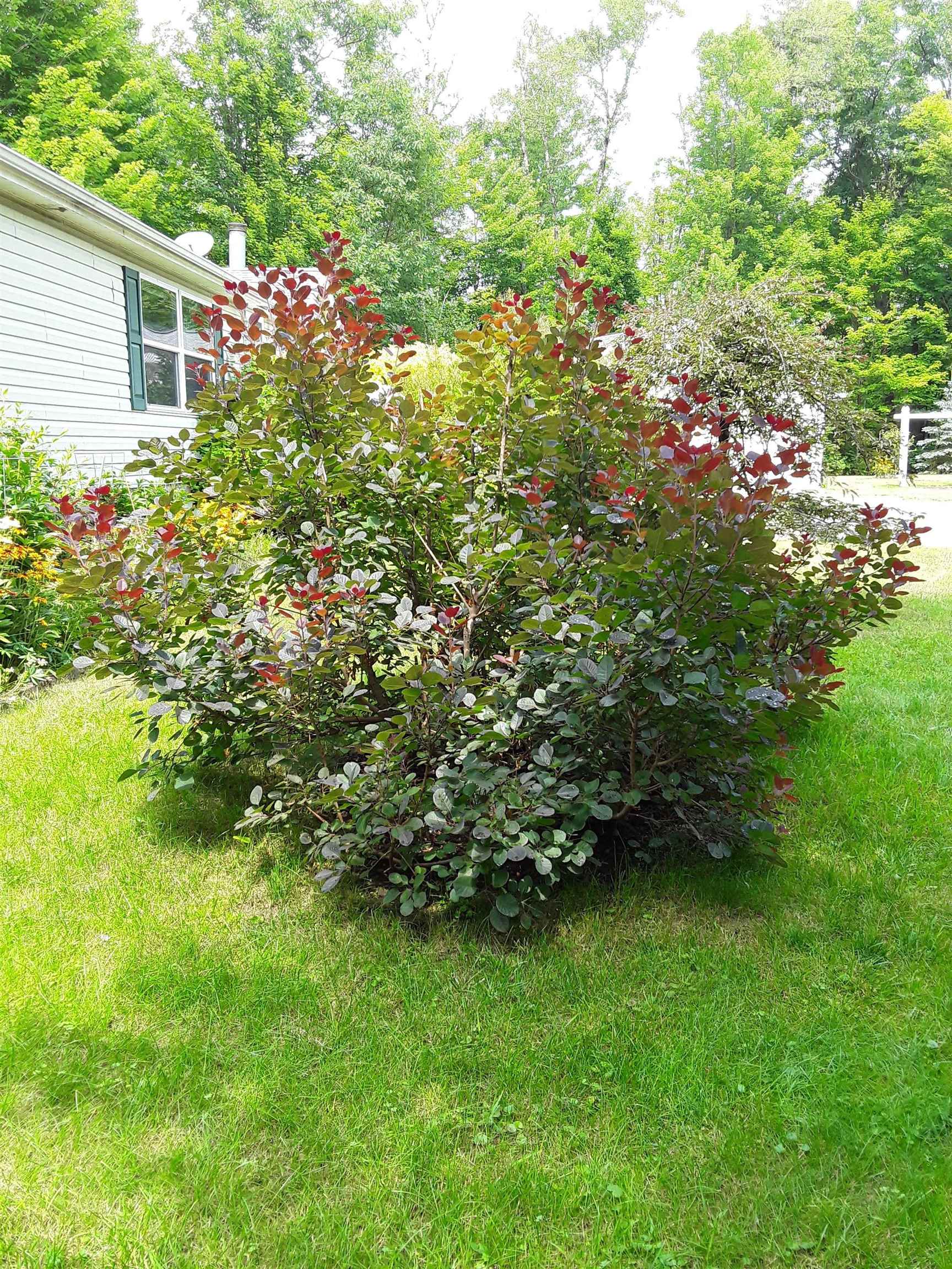 7102 Fire Tower Road Rhinelander, WI 54501 - Photo 44 of 48