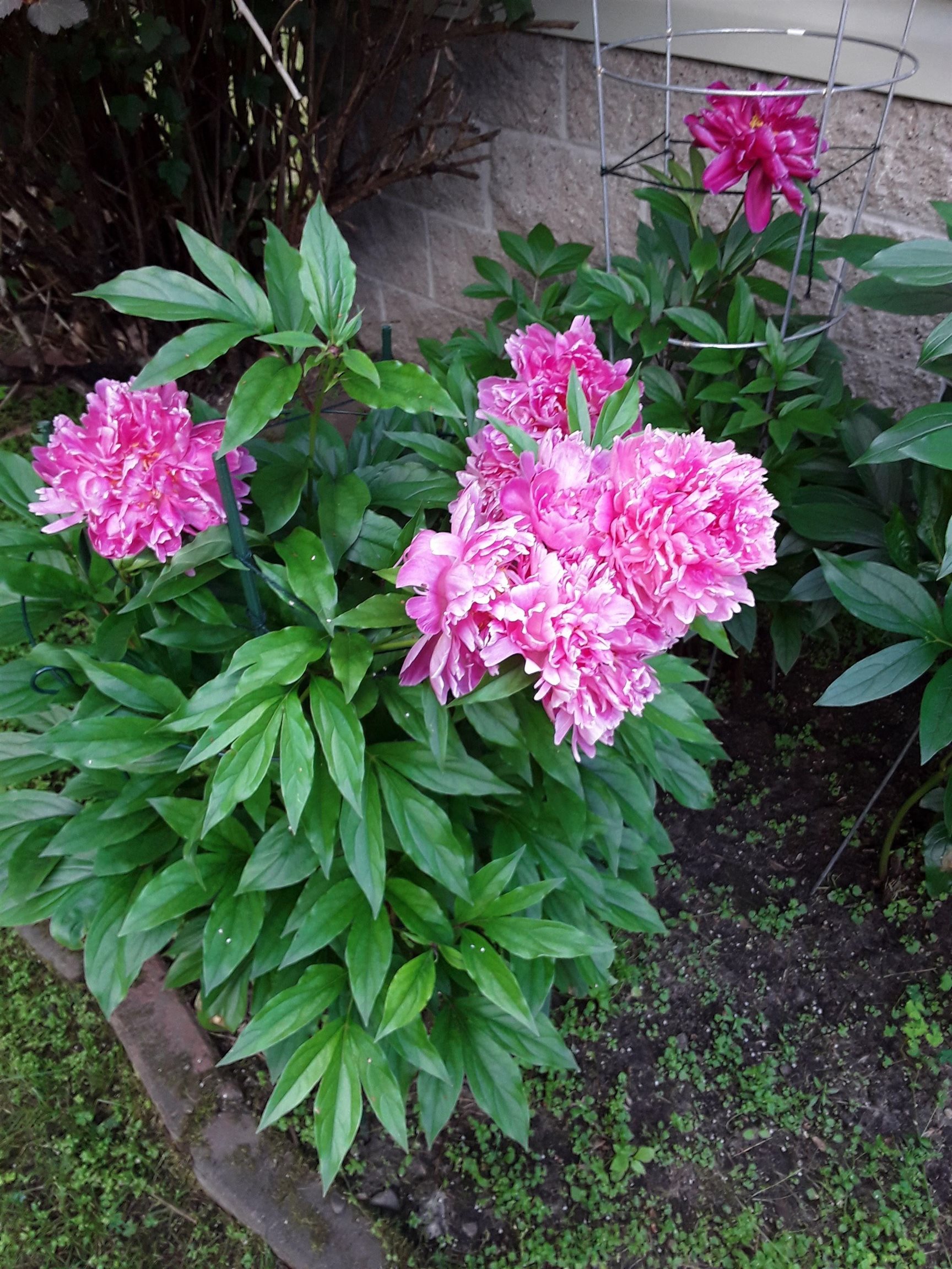 7102 Fire Tower Road Rhinelander, WI 54501 - Photo 45 of 48