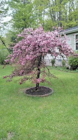 $219,900 | 7102 Fire Tower Road, Rhinelander, WI 54501